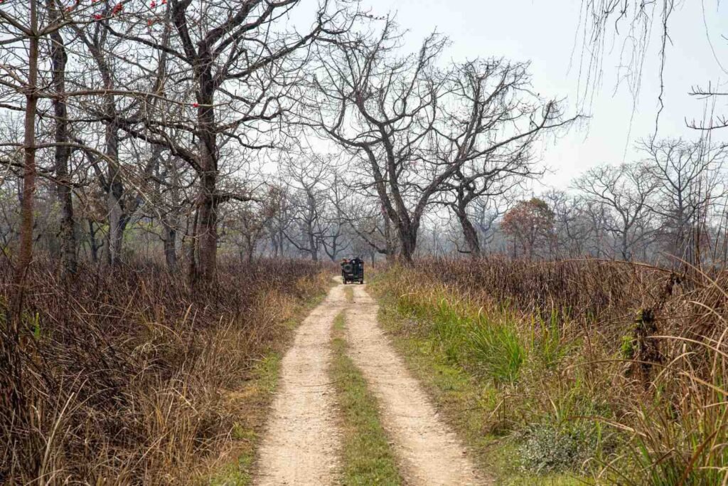 Chitwan National Park